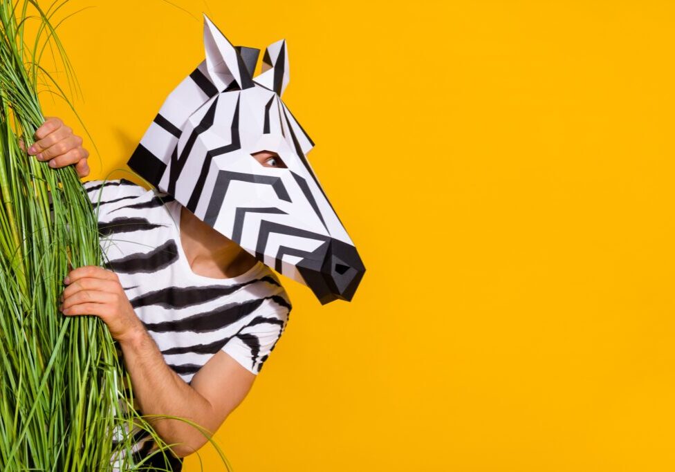 A person in a zebra headdress and zebra print shirt hiding behind grass with a yellow background